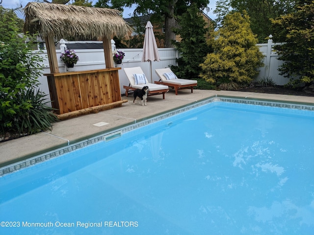 23 Layton Ave, Pine Beach, NJ 08741 - view of swimming pool with a fenced backyard and a patio area