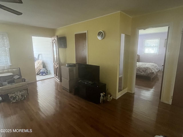 living area featuring a ceiling fan and wood finished floors
