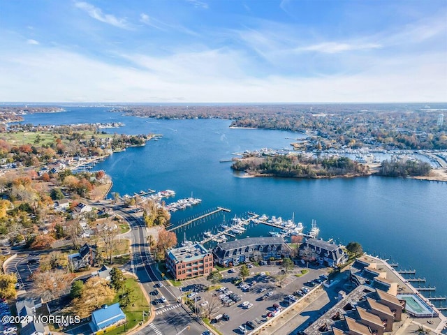 drone / aerial view with a water view