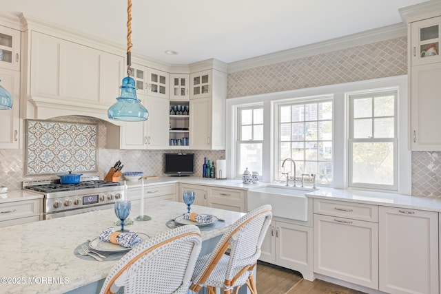 26 Bridge, Bay Head, NJ 08742 - kitchen with a sink, stainless steel gas range, crown molding, decorative backsplash, and wood finished floors
