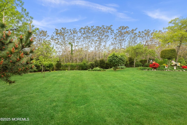 27 Jared Ln, Little Egg Harbor, NJ 08087 - view of grassy yard