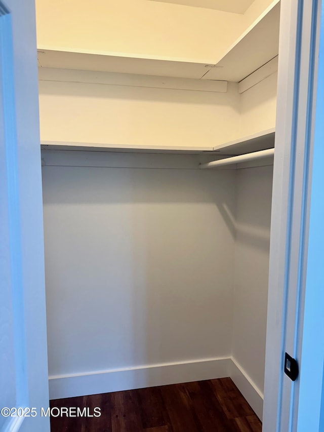 spacious closet with dark wood-type flooring