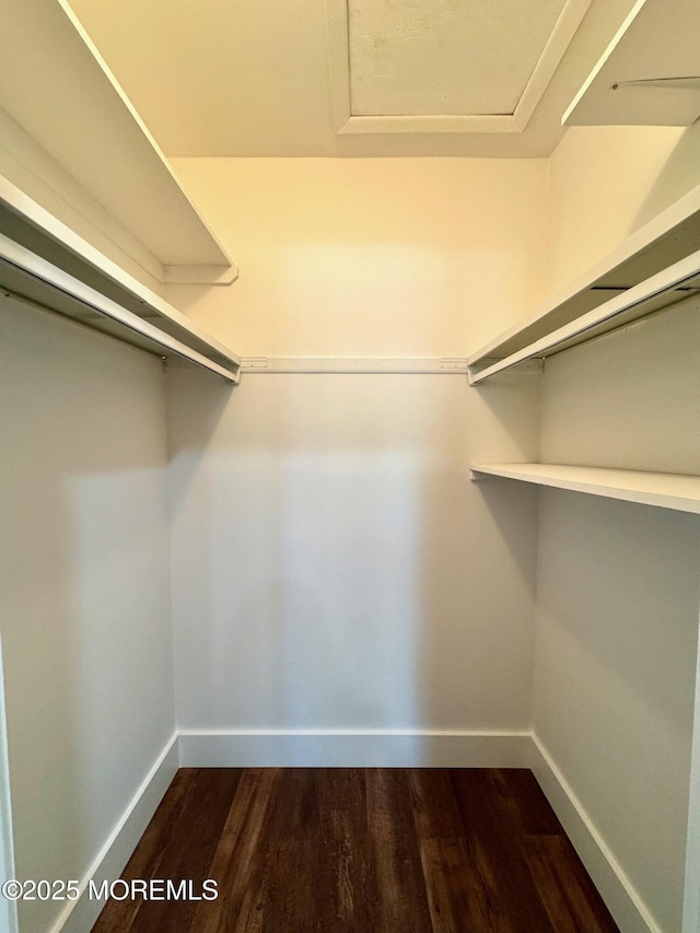 spacious closet with attic access and dark wood-style flooring