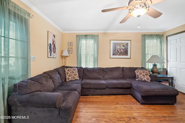 living room featuring plenty of natural light, ornamental molding, wood finished floors, and a ceiling fan