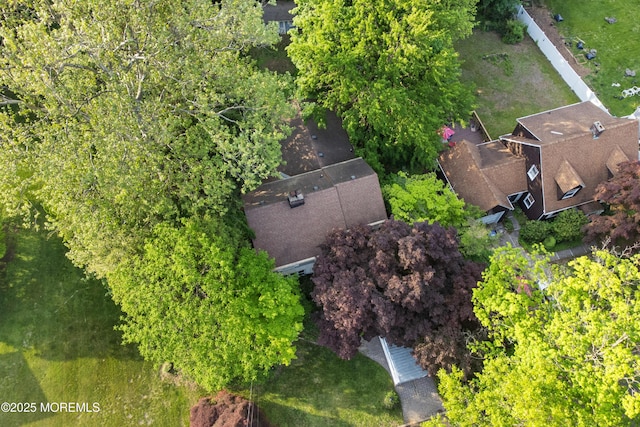 bird's eye view