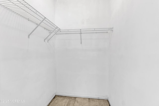 21 Edgeworth Cir, Manchester, NJ 08759 - walk in closet featuring light colored carpet