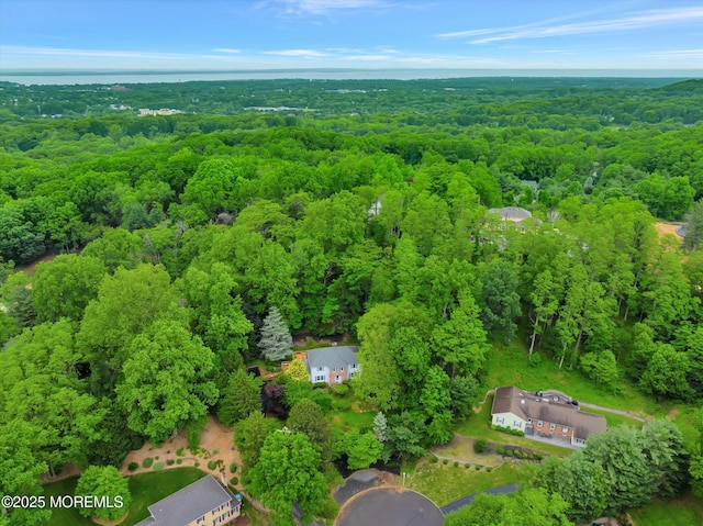 9 Berkshire Ct, Holmdel, NJ 07733 - aerial view of a forest