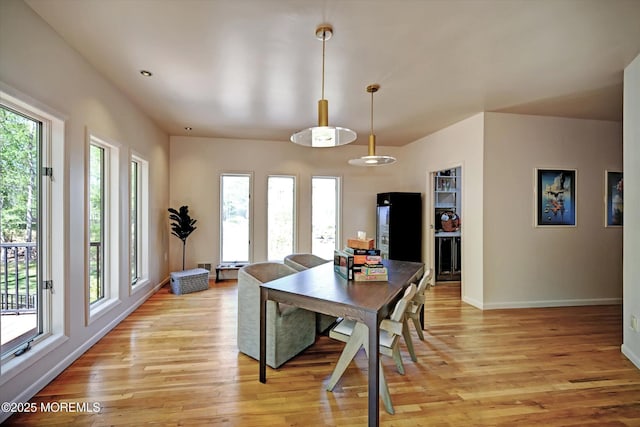 15 Evan Dr, Morganville, NJ 07751 - dining space featuring healthy amount of natural light, light wood-style flooring, and baseboards