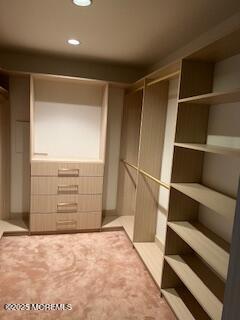 15 Evan Dr, Morganville, NJ 07751 - spacious closet with light carpet