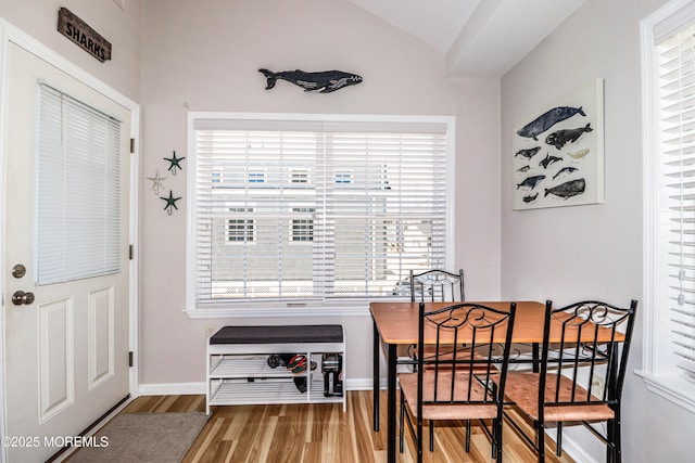 dining space with baseboards, a healthy amount of sunlight, and wood finished floors