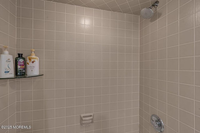 1570 Beaver Hollow Dr, Toms River, NJ 08755 - details with a tile shower