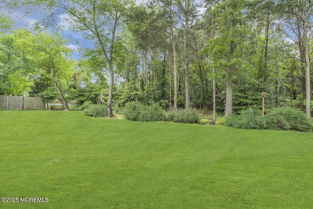 1570 Beaver Hollow Dr, Toms River, NJ 08755 - view of yard with fence
