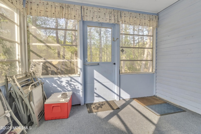3 Tudor Ct, Brick, NJ 08723 - doorway featuring wooden walls and carpet flooring