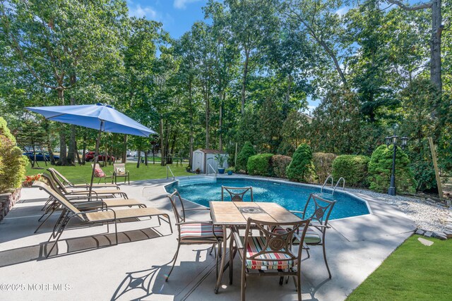 pool featuring a storage shed, an outbuilding, a lawn, and a patio area
