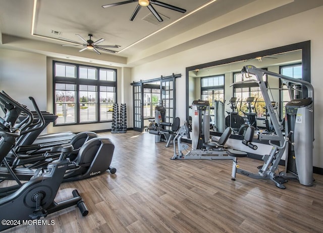 103 Wisteria Ct, Freehold, NJ 07728 - workout area with a ceiling fan, plenty of natural light, and a raised ceiling