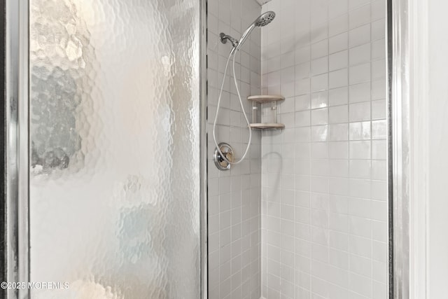 bathroom with a shower stall