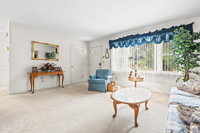 living area with carpet