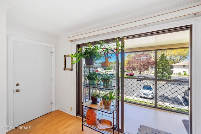 doorway to outside featuring wood finished floors