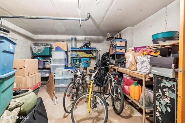 storage featuring a garage