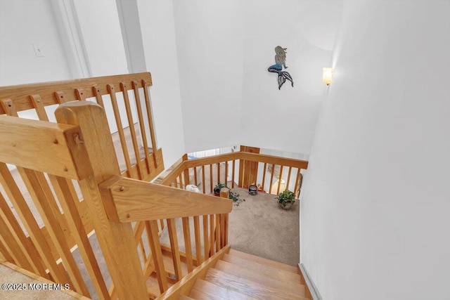 stairs with carpet