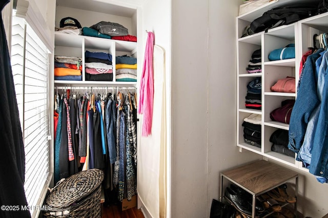 spacious closet with wood finished floors