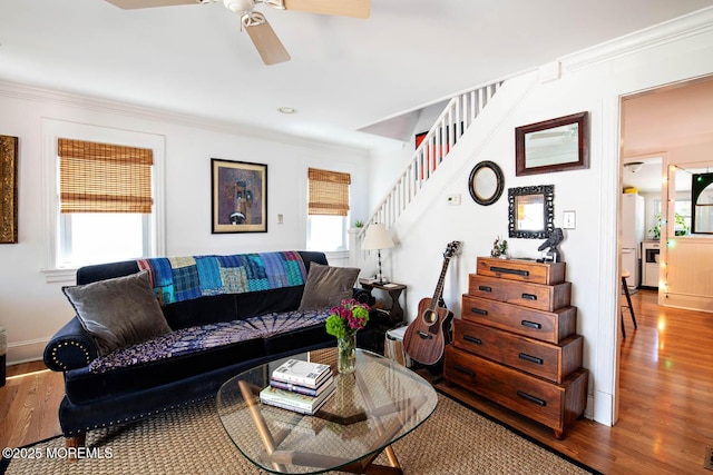 living room featuring plenty of natural light, ornamental molding, ceiling fan, and wood finished floors