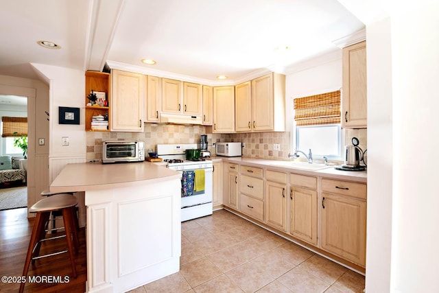kitchen with a sink, white appliances, a peninsula, a toaster, and under cabinet range hood