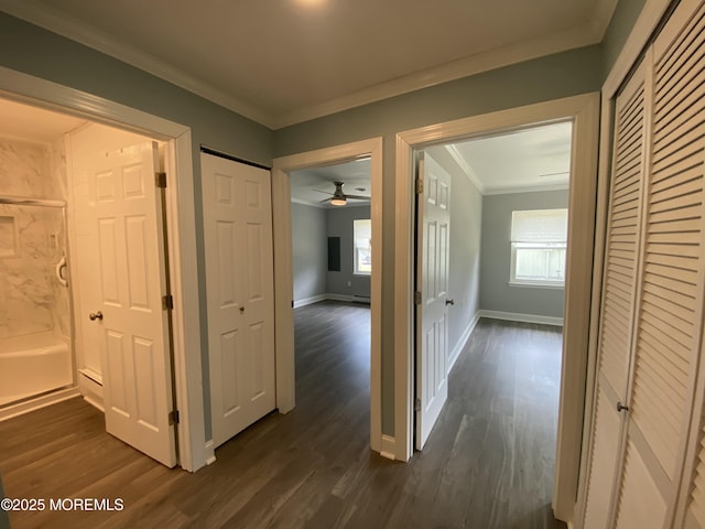 hallway featuring crown molding, baseboards, dark wood finished floors, and plenty of natural light