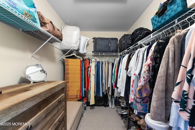 spacious closet with carpet