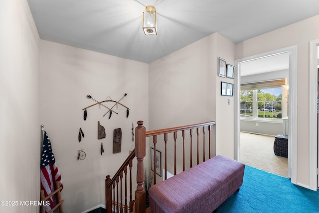 stairway with carpet