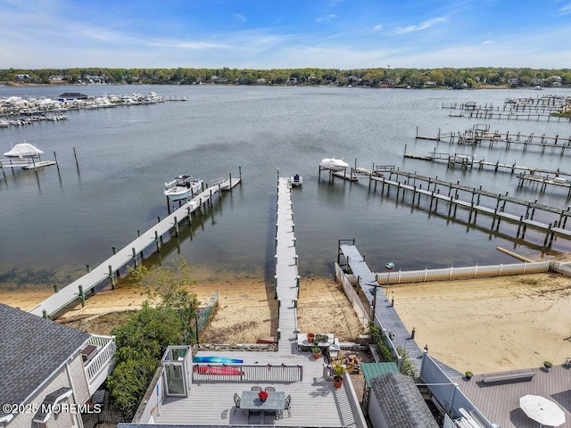 dock area with a water view