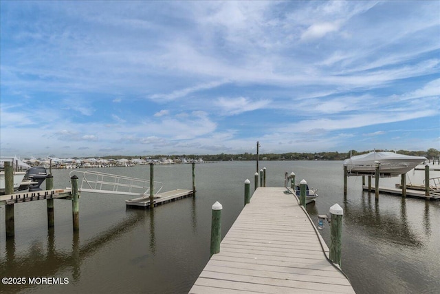 dock area with a water view
