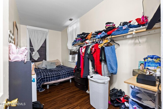walk in closet with wood finished floors