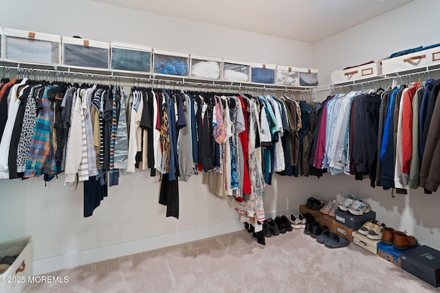 walk in closet with carpet