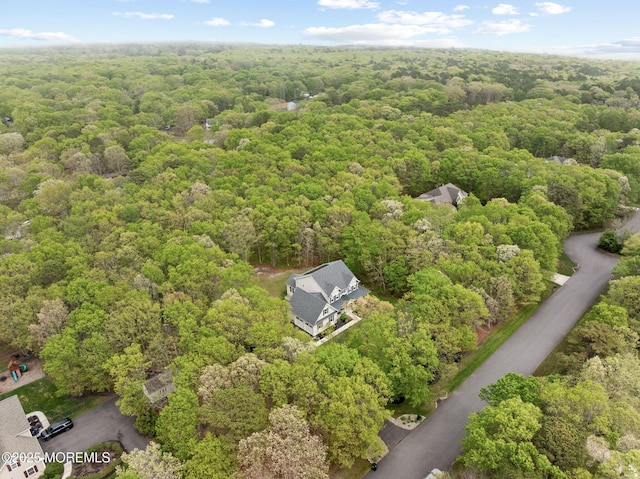 aerial view of a forest