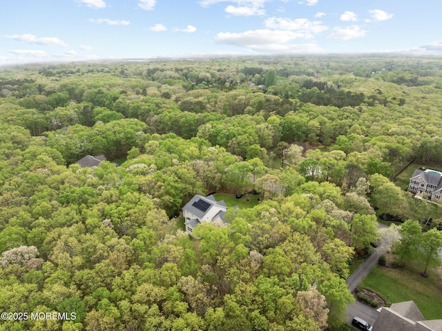 bird's eye view of a forest