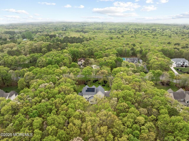 bird's eye view of a forest