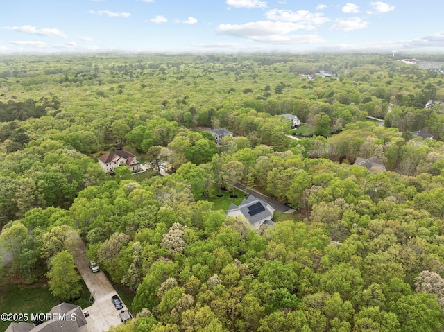 drone / aerial view of a forest