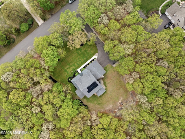 aerial overview of property's location