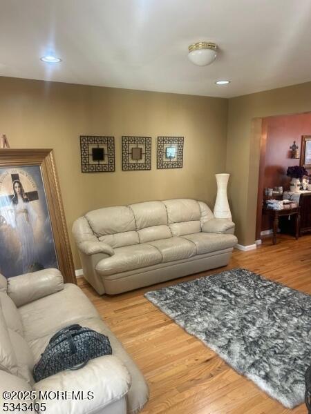 living room featuring wood finished floors and baseboards