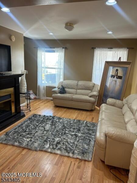 living area featuring wood finished floors and a glass covered fireplace