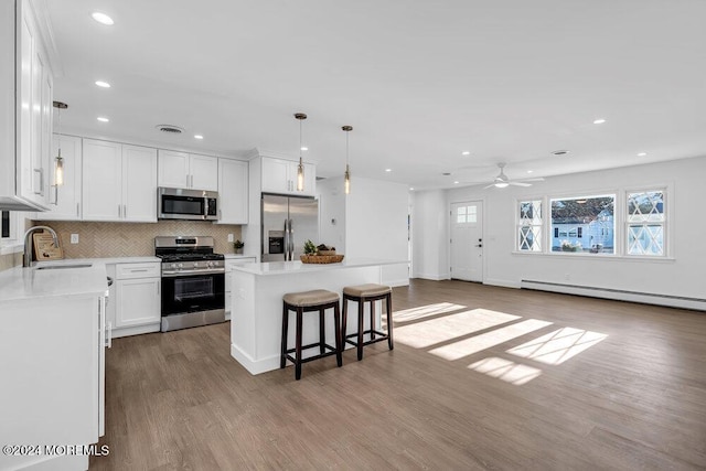 kitchen with appliances with stainless steel finishes, a sink, recessed lighting, wood finished floors, and a baseboard heating unit