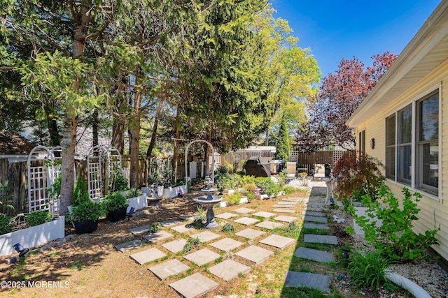 view of yard with a fenced backyard and a patio