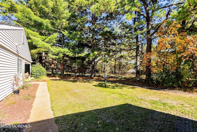 436A New Castle Ct, Manchester, NJ 08759 - view of yard