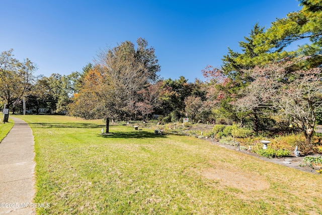 436A New Castle Ct, Manchester, NJ 08759 - view of yard