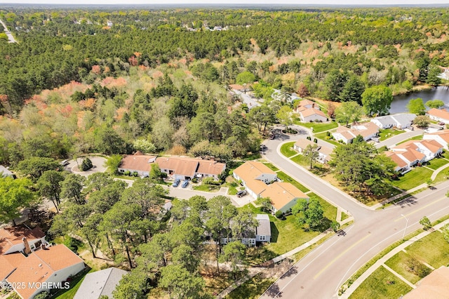 436A New Castle Ct, Manchester, NJ 08759 - aerial view featuring a residential view and a forest view