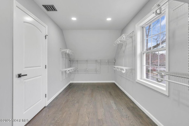 walk in closet with visible vents and dark wood-type flooring