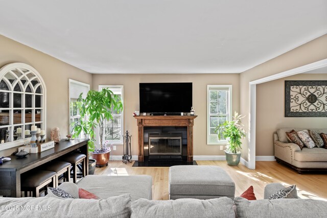 649 Toms River Rd, Jackson, NJ 08527 - living room featuring wood finished floors, a fireplace with flush hearth, and baseboards