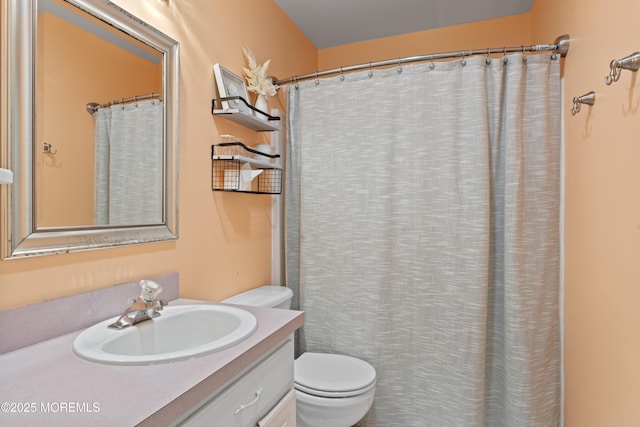 649 Toms River Rd, Jackson, NJ 08527 - full bathroom featuring toilet, vanity, and curtained shower