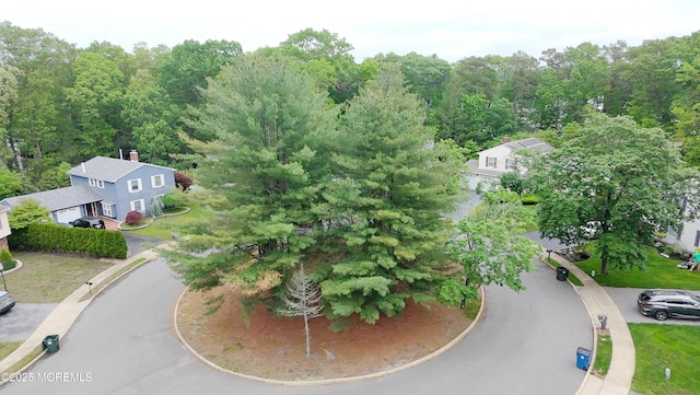 bird's eye view
